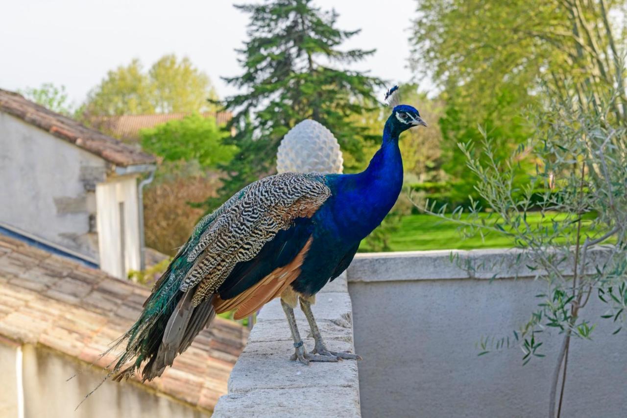 Bastide De Bellegarde 2*